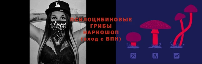 кокаин премиум Аркадак