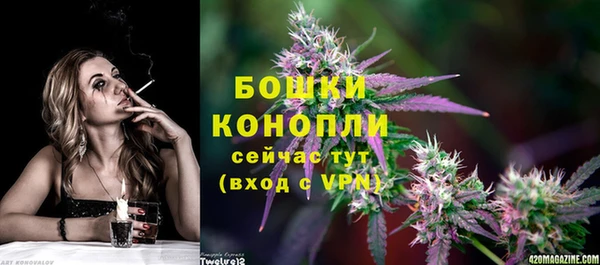 спиды Арсеньев