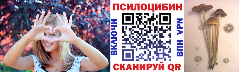 Галлюциногенные грибы Magic Shrooms  как найти закладки  Благодарный 